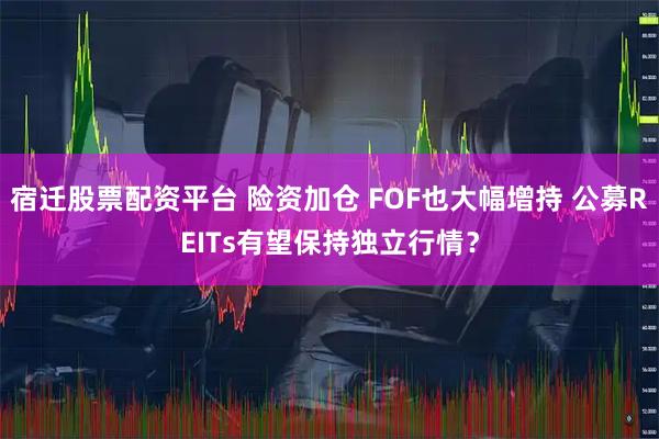 宿迁股票配资平台 险资加仓 FOF也大幅增持 公募REITs有望保持独立行情？