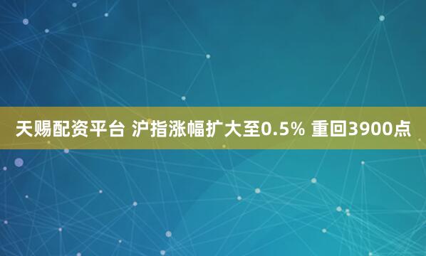 天赐配资平台 沪指涨幅扩大至0.5% 重回3900点